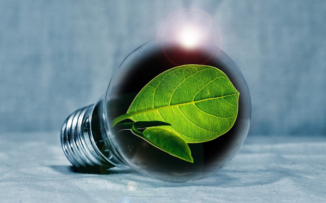 Faire des Économies d'Énergie : Trucs et Astuces