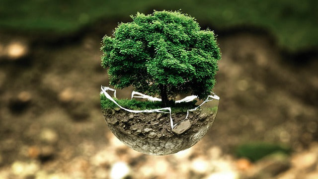 organiser un evenement ecoresponsable