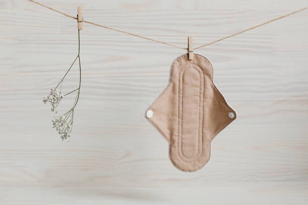 Focus sur Toutes les Protections Hygiéniques Lavables