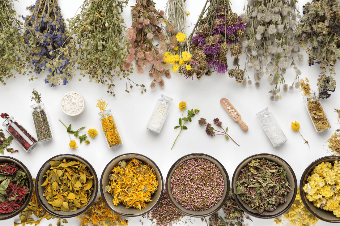 trousse de secours naturelle