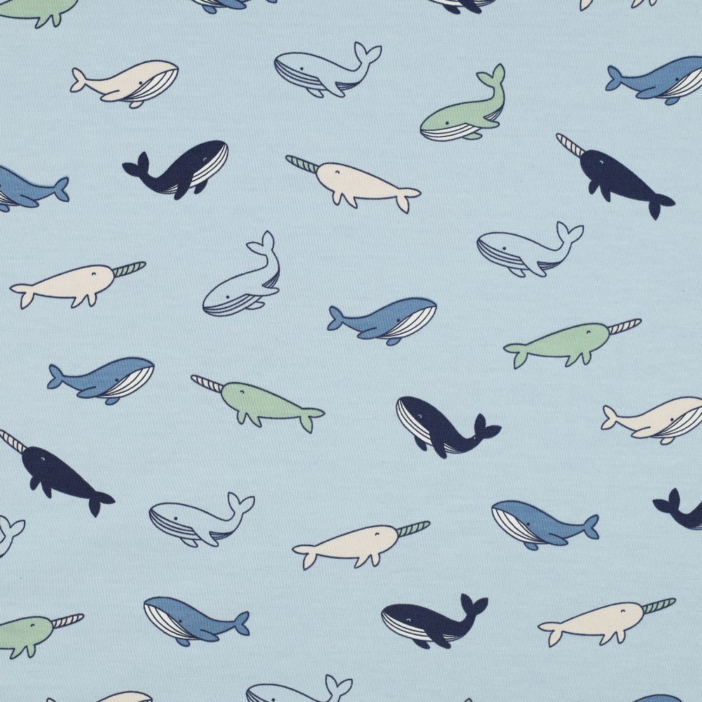 Jersey baleine