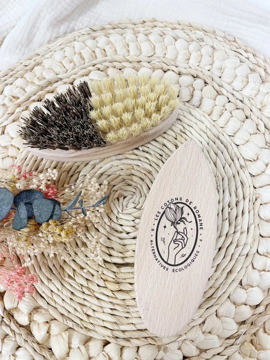 Brosse légumes - 1