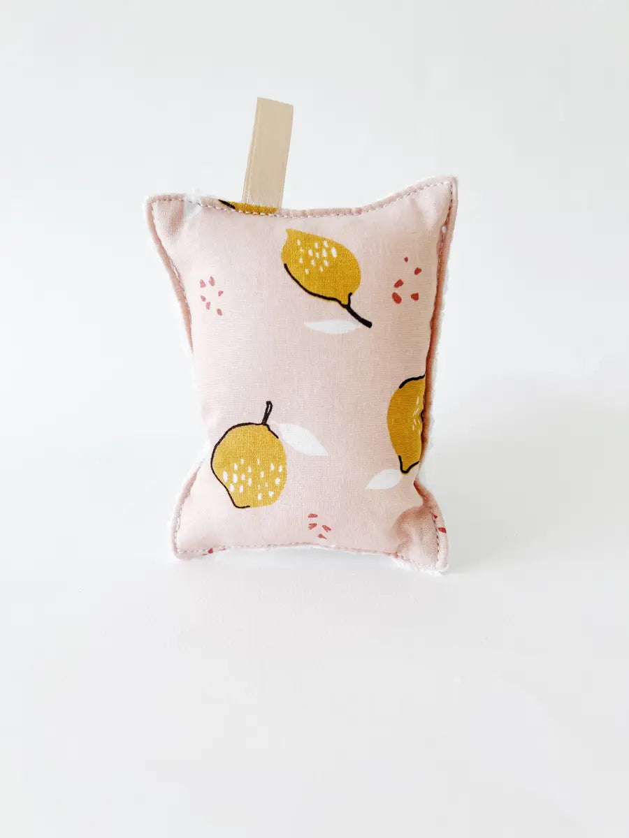 Eponge lavable - 3